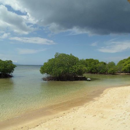 Mangrove Paradise Retreat Lembongan Exteriör bild