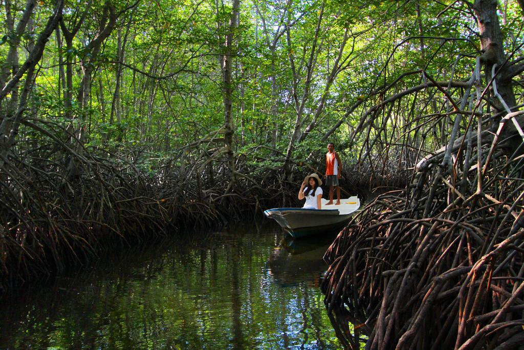 Mangrove Paradise Retreat Lembongan Exteriör bild