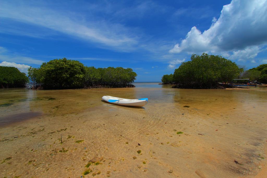 Mangrove Paradise Retreat Lembongan Exteriör bild