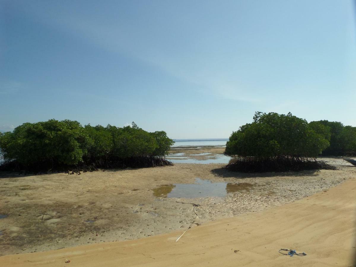 Mangrove Paradise Retreat Lembongan Exteriör bild